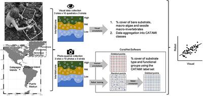 Robots Versus Humans: Automated Annotation Accurately Quantifies Essential Ocean Variables of Rocky Intertidal Functional Groups and Habitat State